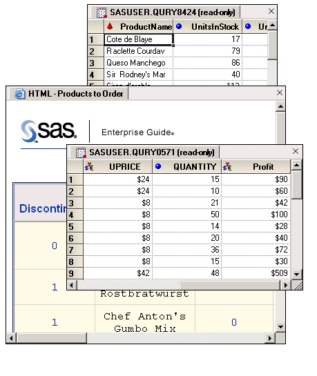 SAS Enterprise Guide queries