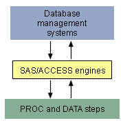 Sharing data between SAS and a DBMS