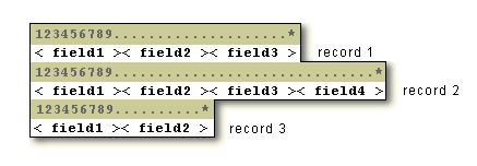 variable-length record format