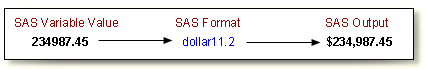 SAS Format